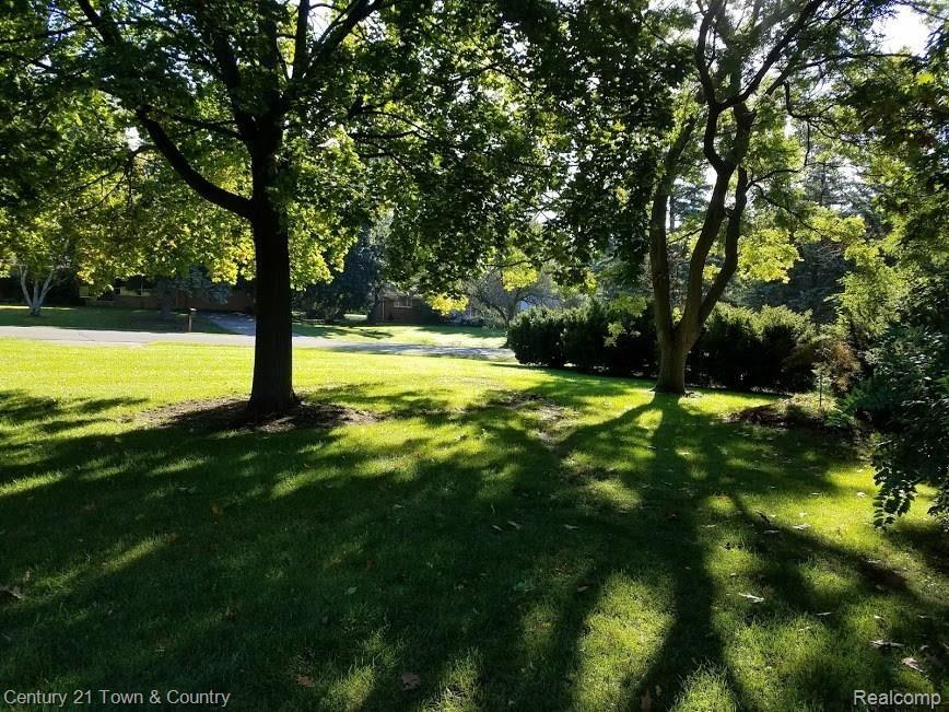 6321 Donaldson Road Troy, MI 48085 - Photo 4 of 17 Yard 5.jpg