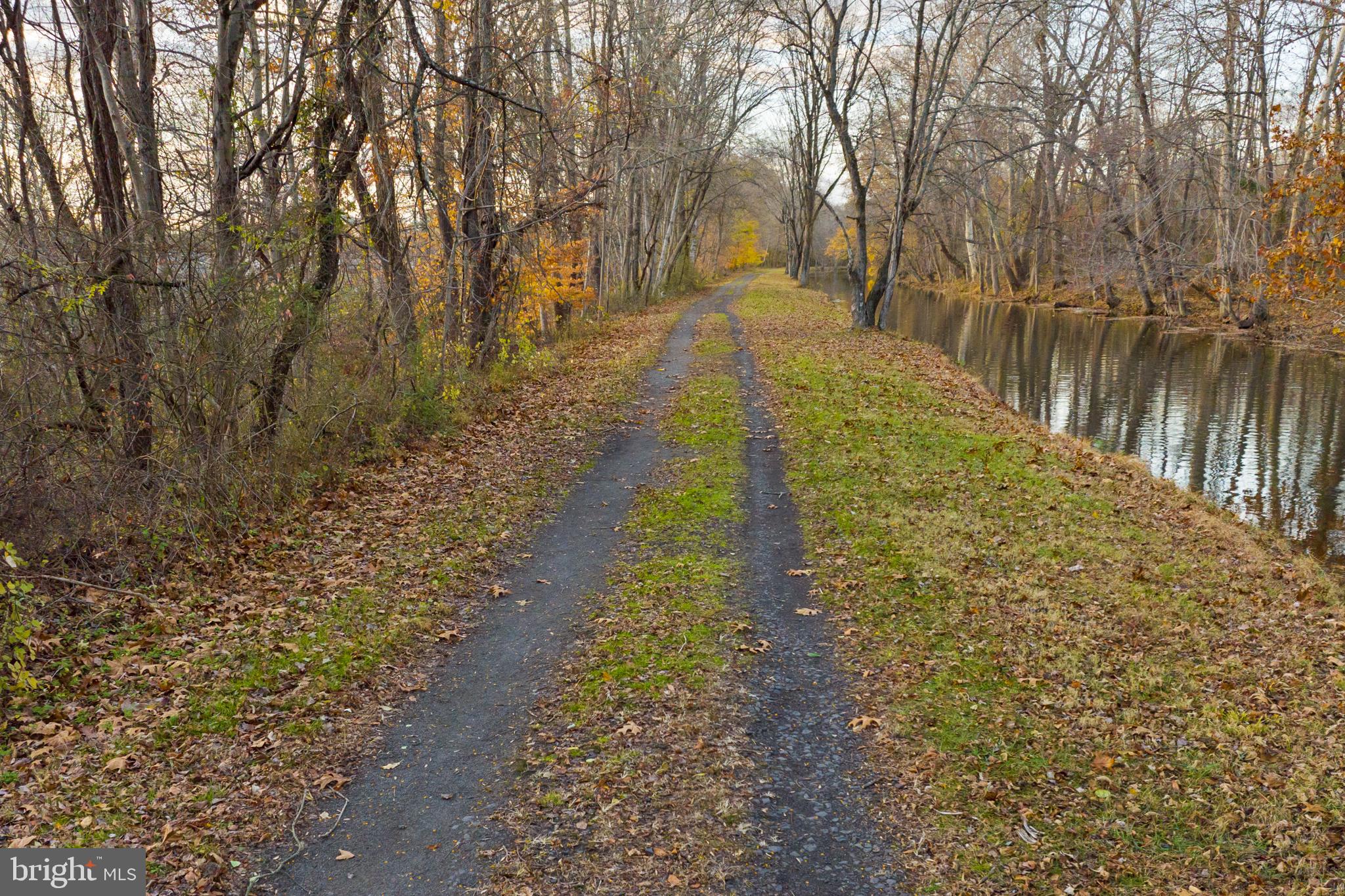 12 Jacob Court Ewing, NJ 08628 - Photo 32 of 45 a view of a yard with large trees