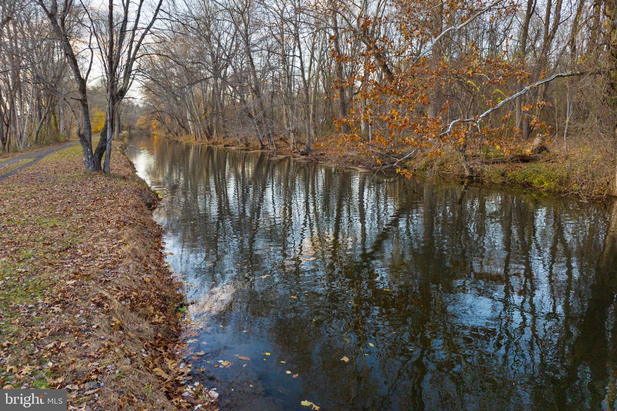 12 Jacob Court Ewing, NJ 08628 - Photo 33 of 45 a backyard of a house with lots of green space
