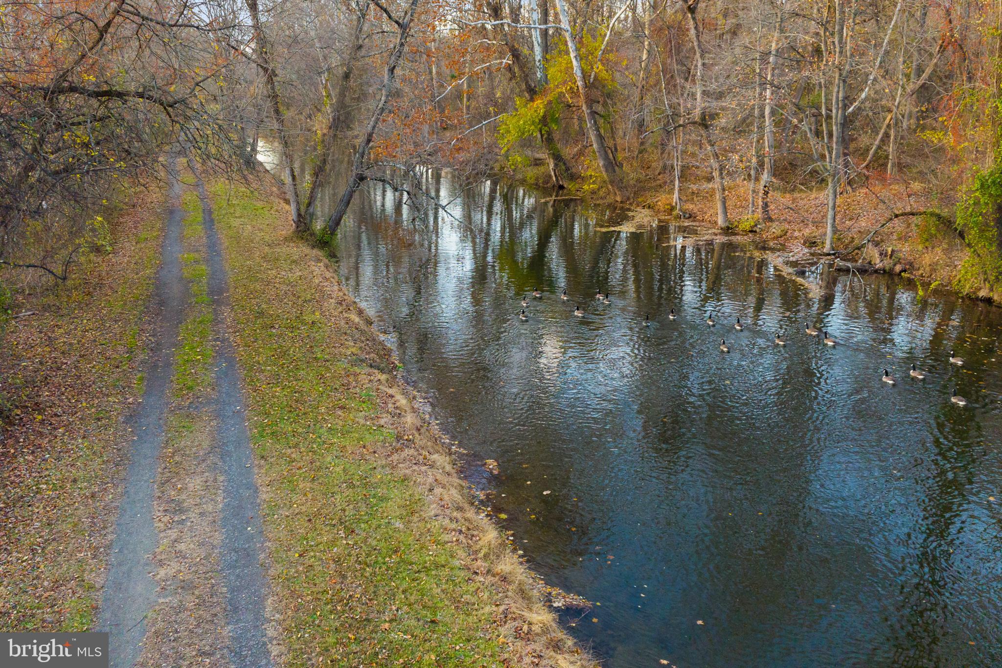 12 Jacob Court Ewing, NJ 08628 - Photo 40 of 45 a view of a yard