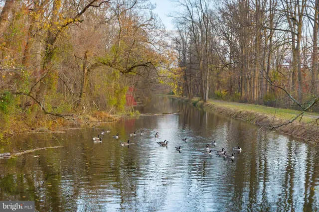 a water view of water with a tree in the background