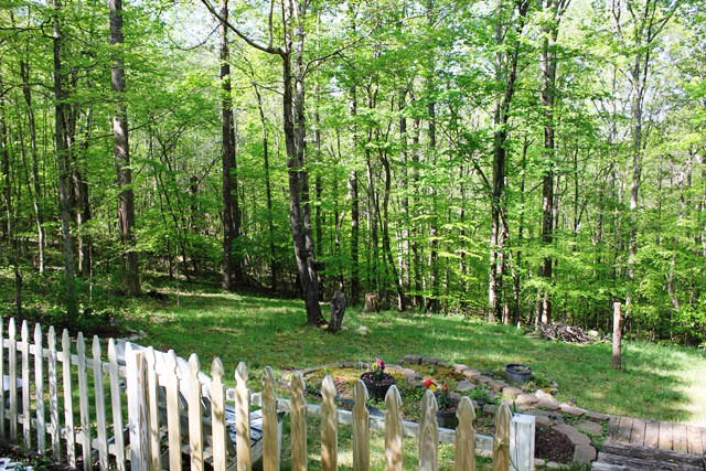 682 Tall Tree Road Wirtz, VA 24184 - Photo 2 of 30 Wooded & Private