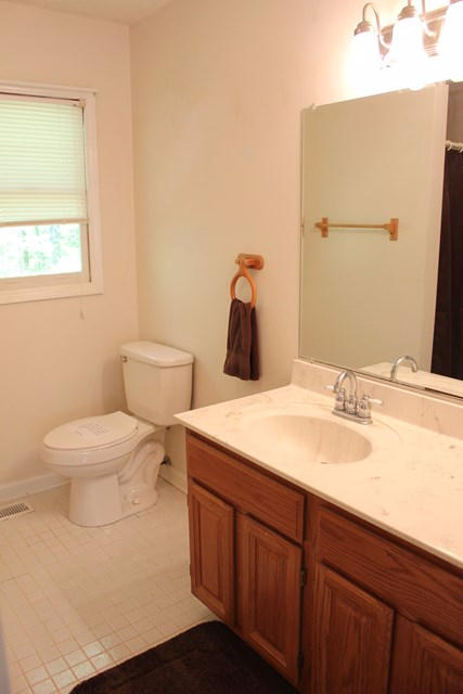 682 Tall Tree Road Wirtz, VA 24184 - Photo 19 of 30 Master Bath