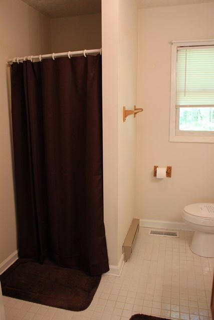 682 Tall Tree Road Wirtz, VA 24184 - Photo 20 of 30 Master Bath