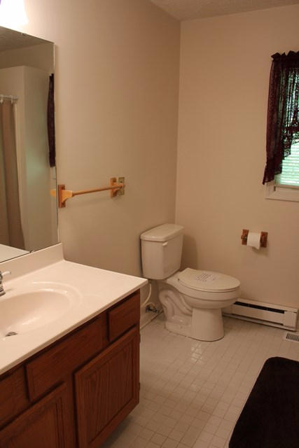 682 Tall Tree Road Wirtz, VA 24184 - Photo 23 of 30 Hall Bath
