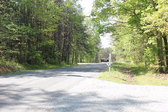 682 Tall Tree Road Wirtz, VA 24184 - Photo 30 of 30 View from Driveway