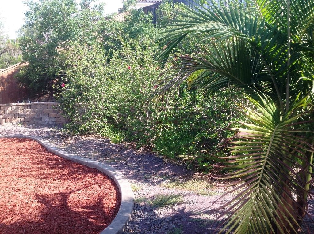 9354 Audubon Road Lakeside, CA 92040 - Photo 11 of 23 Gallery Image 11