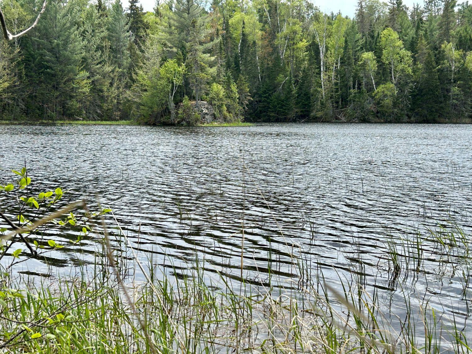 Lot 3 Scott Road Eustis, ME 04936 - Photo 14 of 26 Rocky island in pond