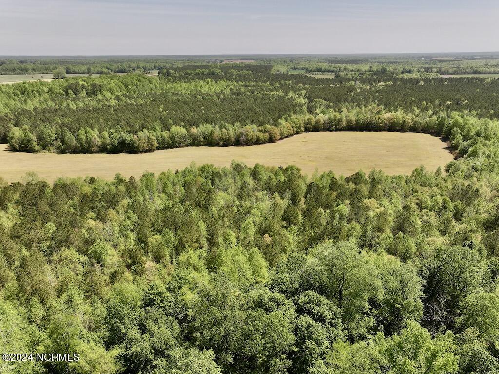 0 Fire Tower Road Jackson, NC 27845 - Photo 11 of 31 12