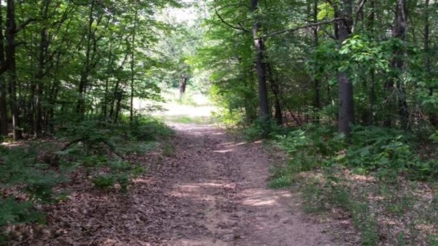 11368 Sandy Bottom Road Northeast Cedar Springs, MI 49319 - Photo 3 of 5 IMG_2781
