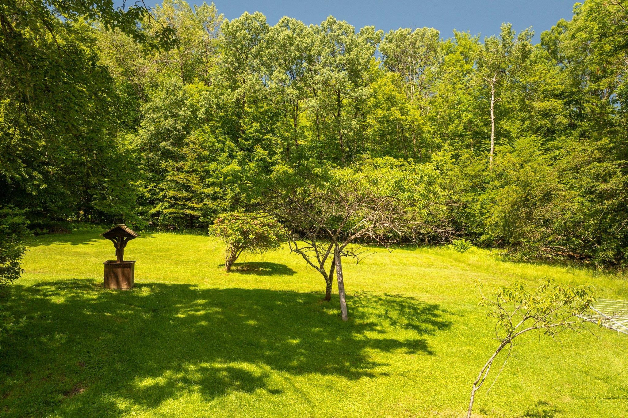 10 Hoffman Road Hankins, NY 12741 - Photo 26 of 30 a view of yard with swimming pool