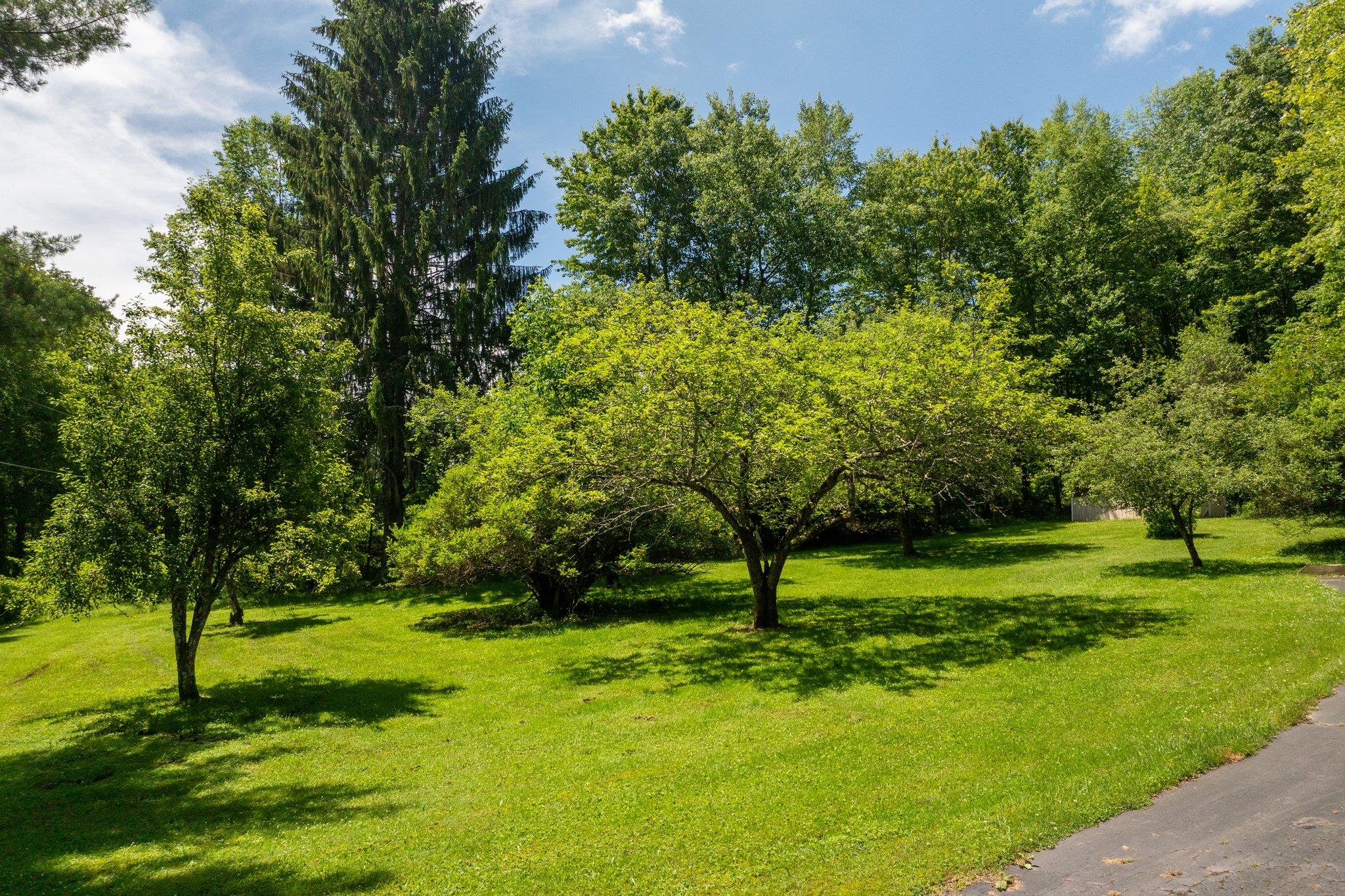 10 Hoffman Road Hankins, NY 12741 - Photo 28 of 30 a view of field with trees