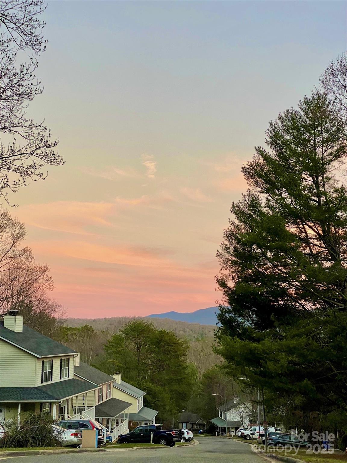 3 Rocking Porch Road Asheville, NC 28805 - Photo 5 of 25 a front view of a building with trees