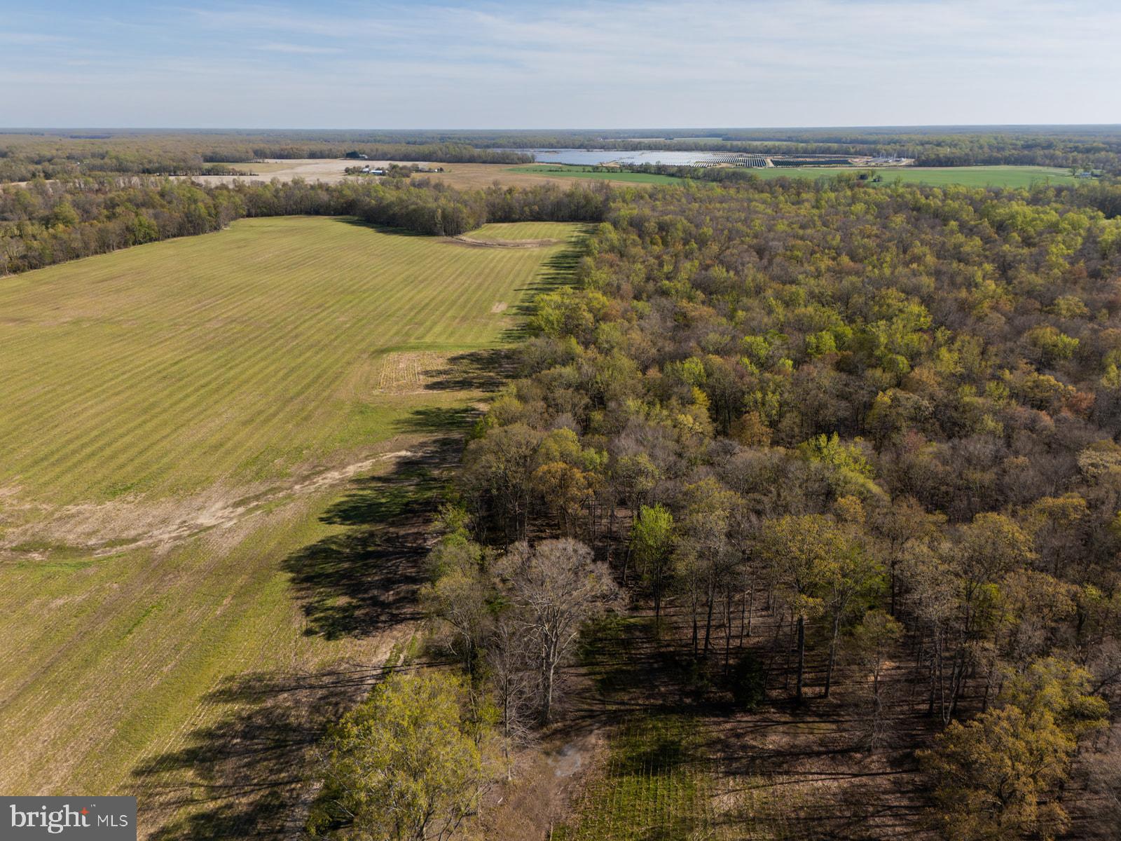 34203 Cypress Road Millington, MD 21651 - Photo 6 of 30 a view of an ocean