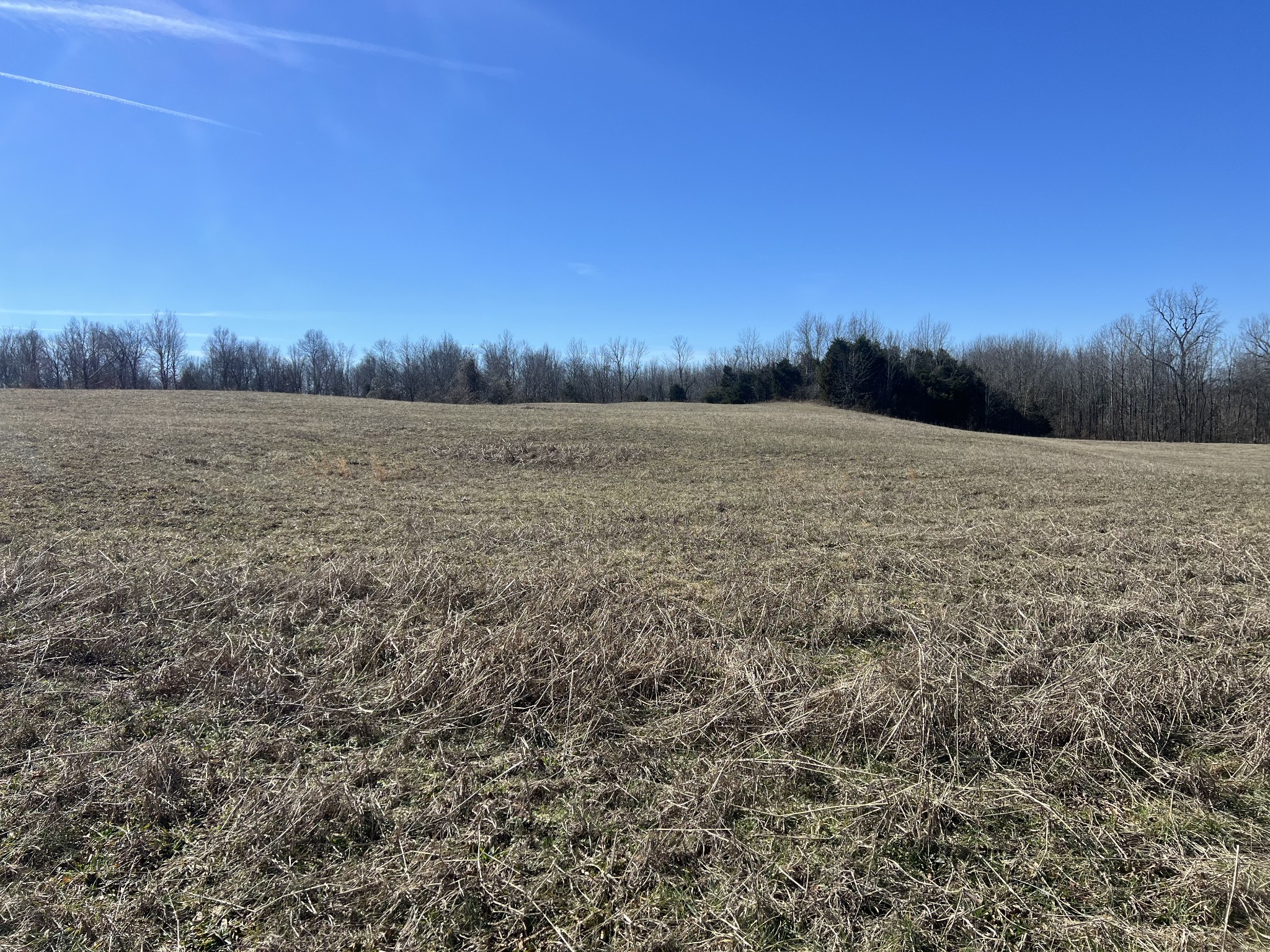8 Marion Road Fredonia, KY 42411 - Photo 2 of 15 a view of lake view and mountain view