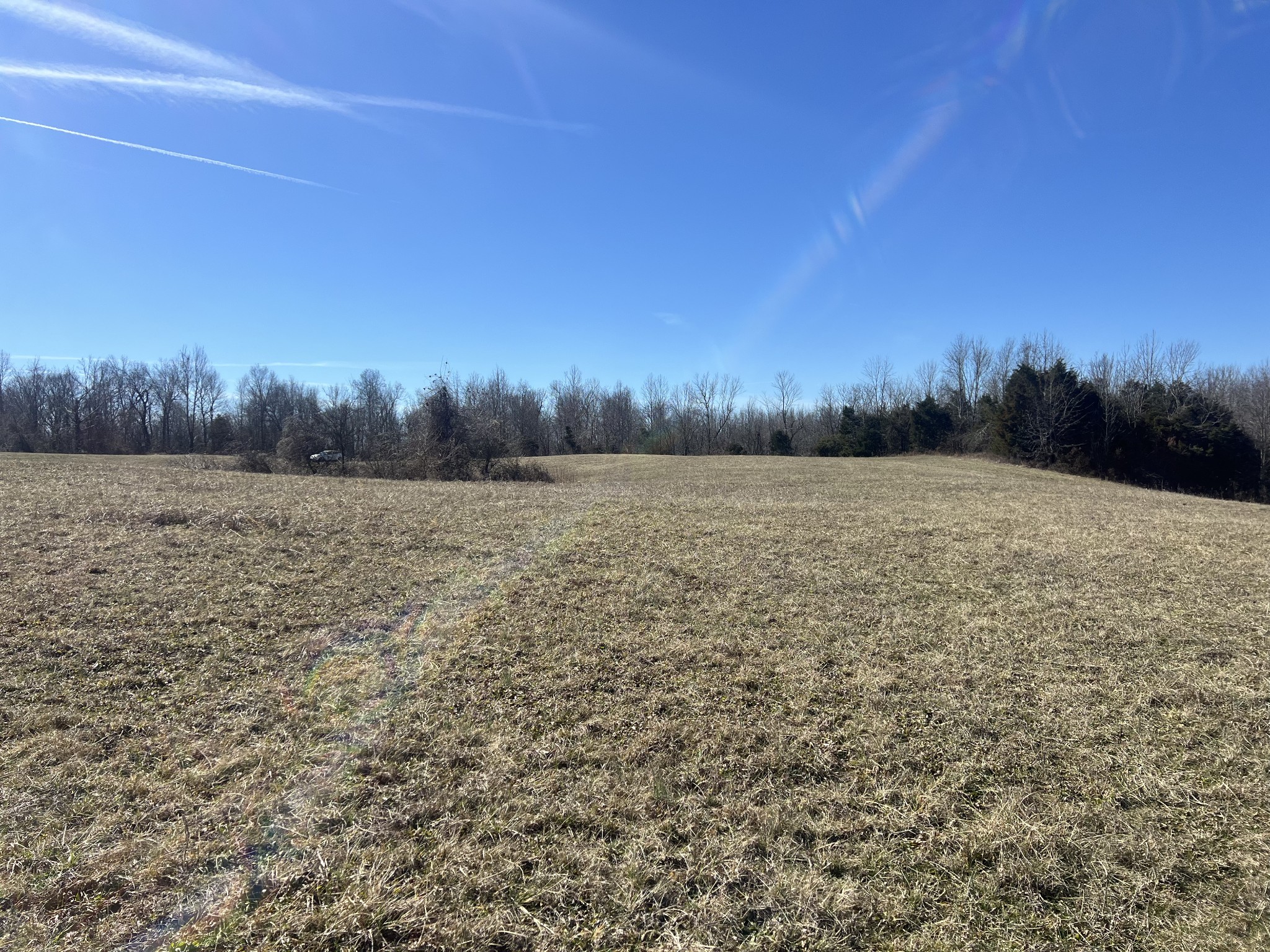 8 Marion Road Fredonia, KY 42411 - Photo 3 of 15 a view of a field with trees in the background