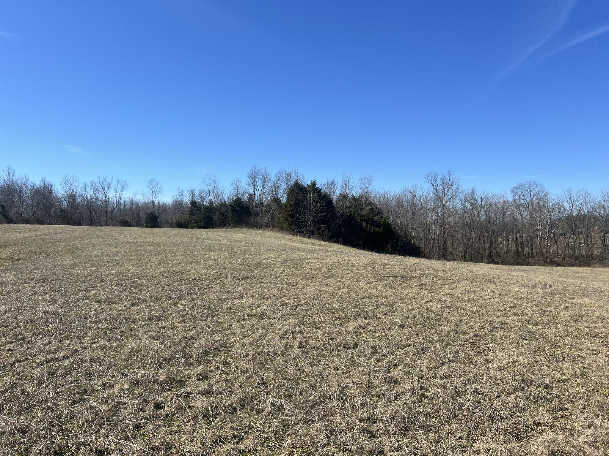 8 Marion Road Fredonia, KY 42411 - Photo 6 of 15 a view of dirt field with trees in the background