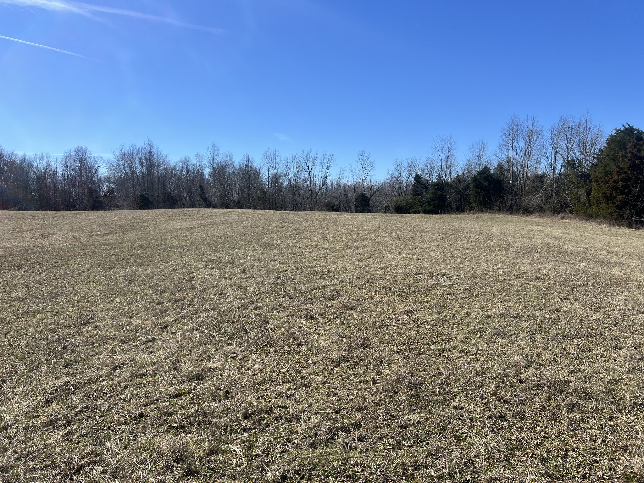 8 Marion Road Fredonia, KY 42411 - Photo 8 of 15 a view of a yard