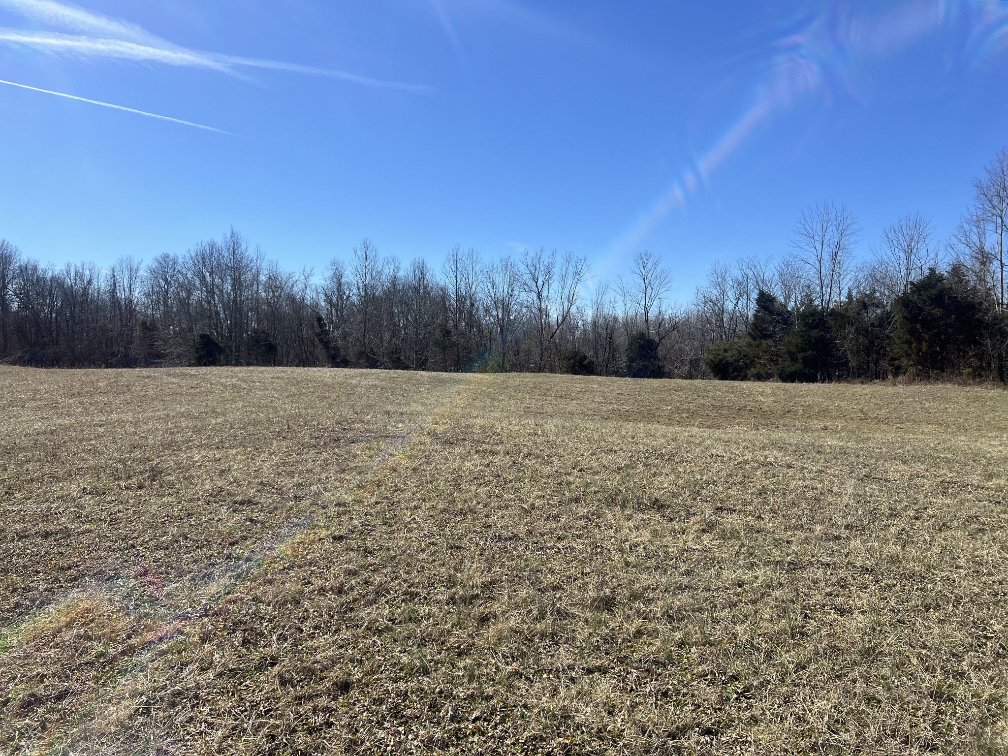 8 Marion Road Fredonia, KY 42411 - Photo 9 of 15 a view of garden with trees