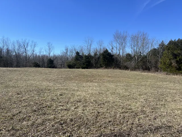 a view of a field with trees in the background