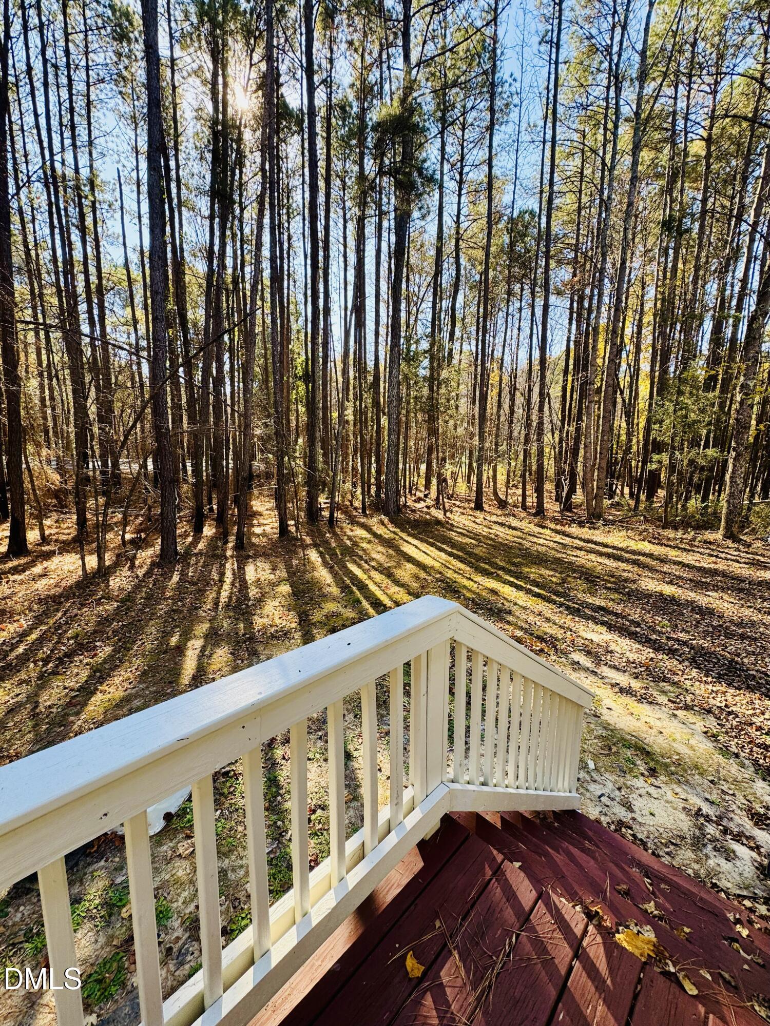 3280 Lakebay Road Vass, NC 28394 - Photo 36 of 41 a view of a wooden house with a yard