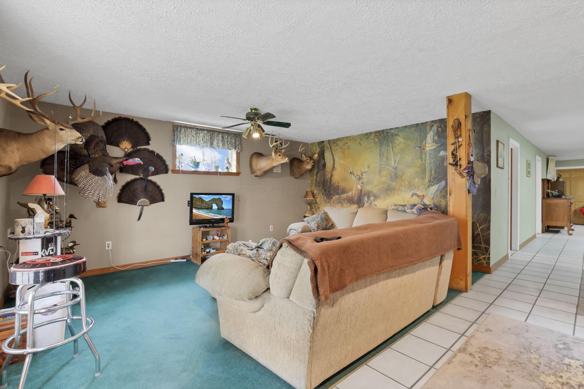 11138 York Road Southwest Baltimore, OH 43105 - Photo 42 of 83 43-web-or-mls-0V3A4977