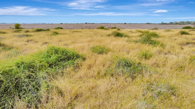 $179,000 | 730 County Road 227, Ganado, TX 77962