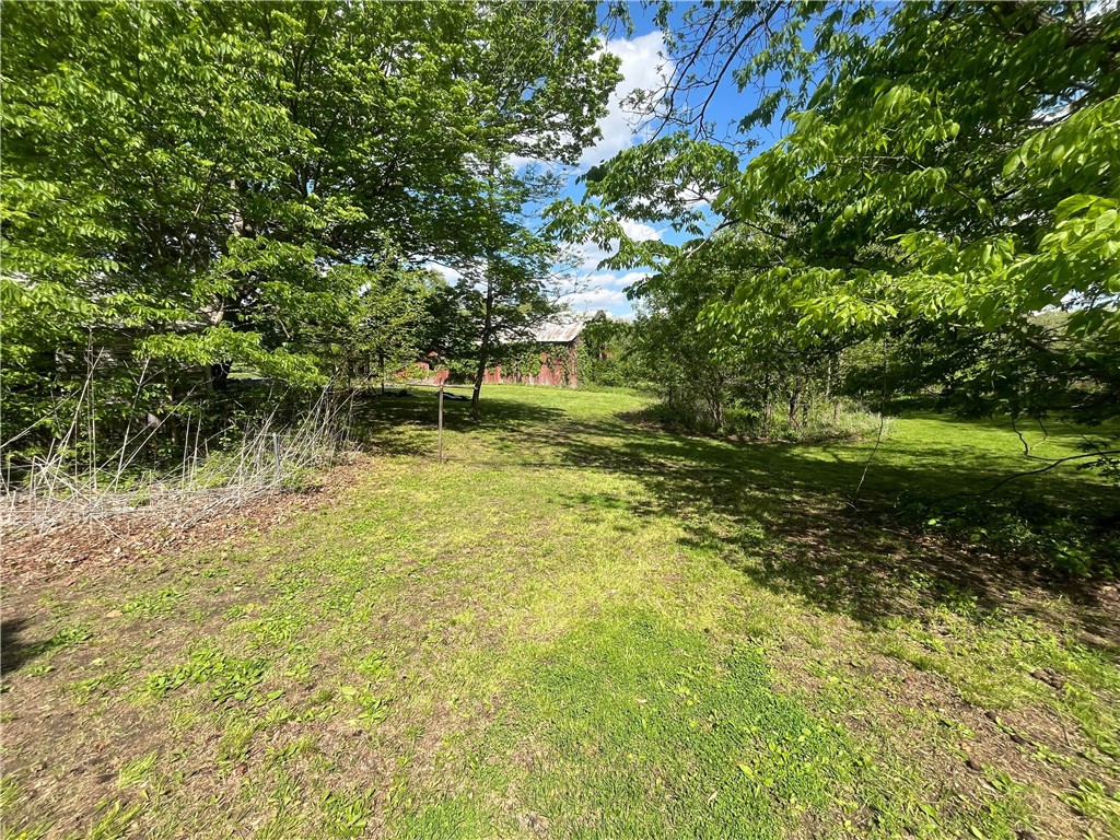 10828 North Grand Turn Road Marshall, IL 62441 - Photo 6 of 12