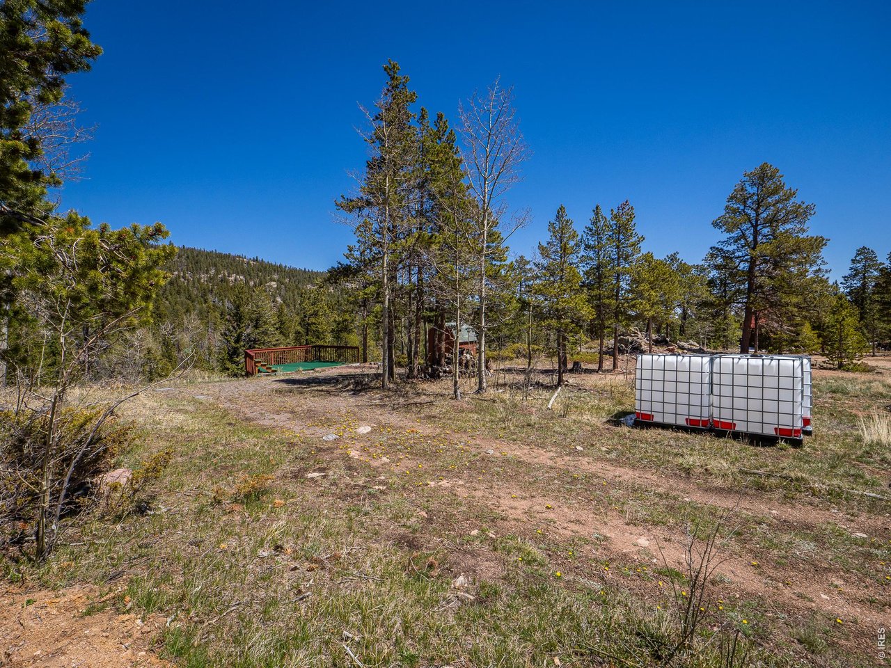 20 Inca Court Red Feather Lakes, CO 80545 - Photo 17 of 23 a view of a yard with a house