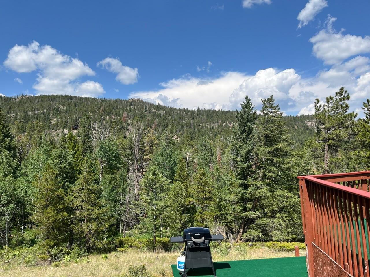 20 Inca Court Red Feather Lakes, CO 80545 - Photo 19 of 23 a view of a city with lush green forest