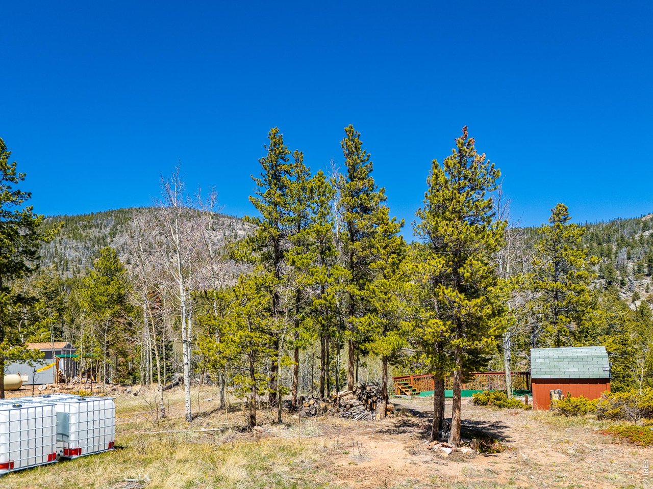 20 Inca Court Red Feather Lakes, CO 80545 - Photo 2 of 23 a view of a pathway with a building in the background