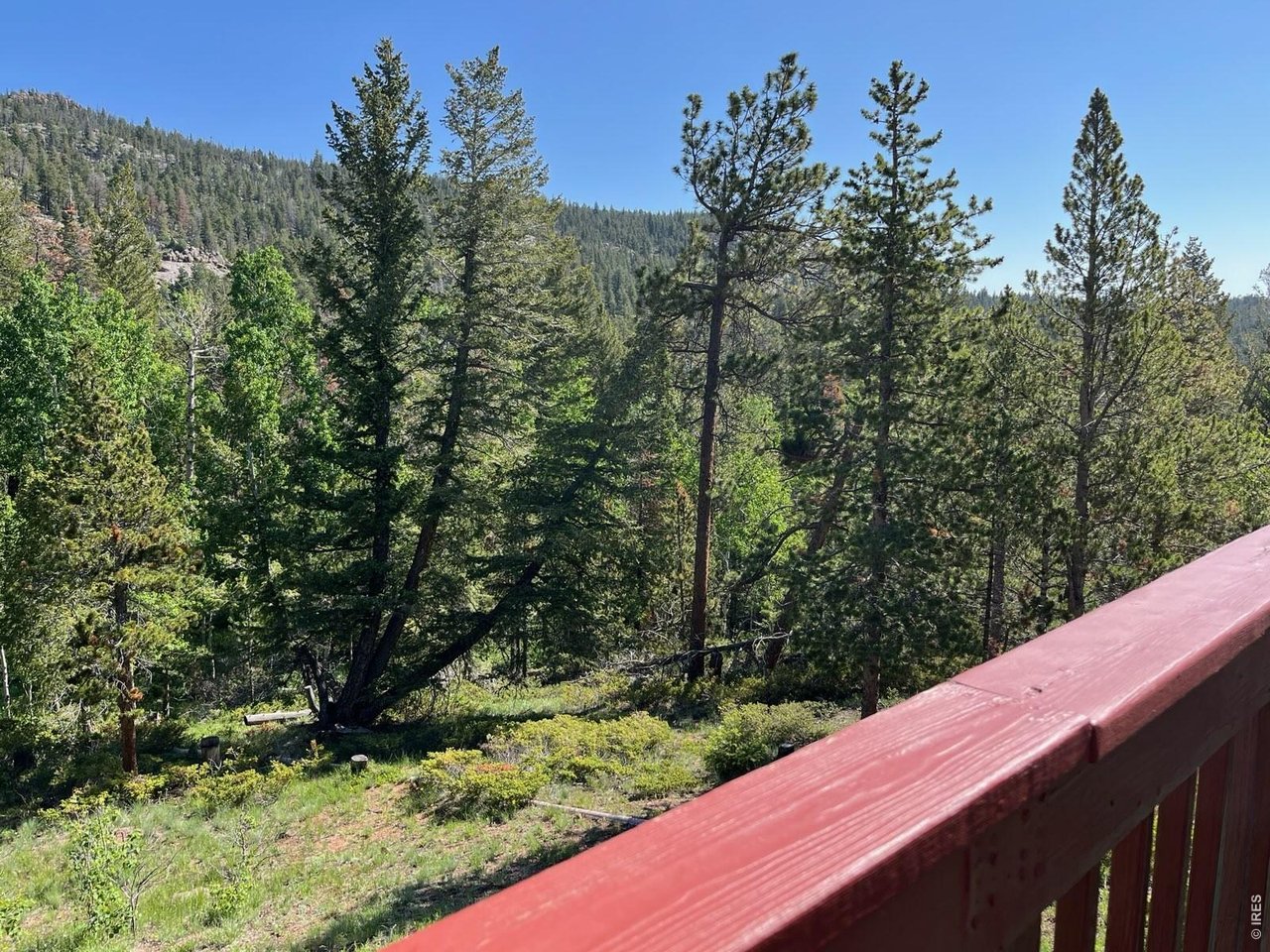 20 Inca Court Red Feather Lakes, CO 80545 - Photo 22 of 23 a view of a forest from a balcony