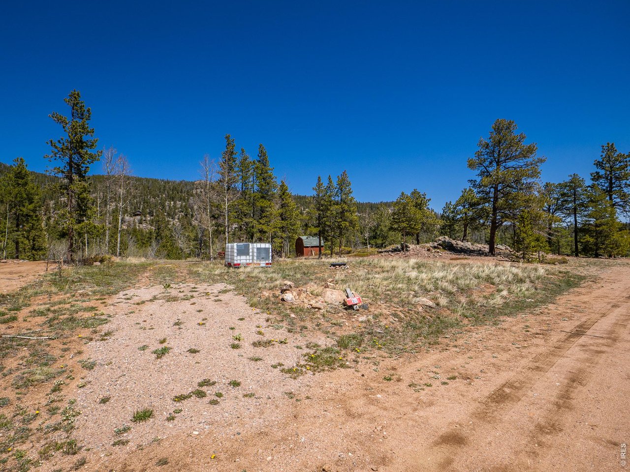 20 Inca Court Red Feather Lakes, CO 80545 - Photo 6 of 23 a view of a yard with a tree
