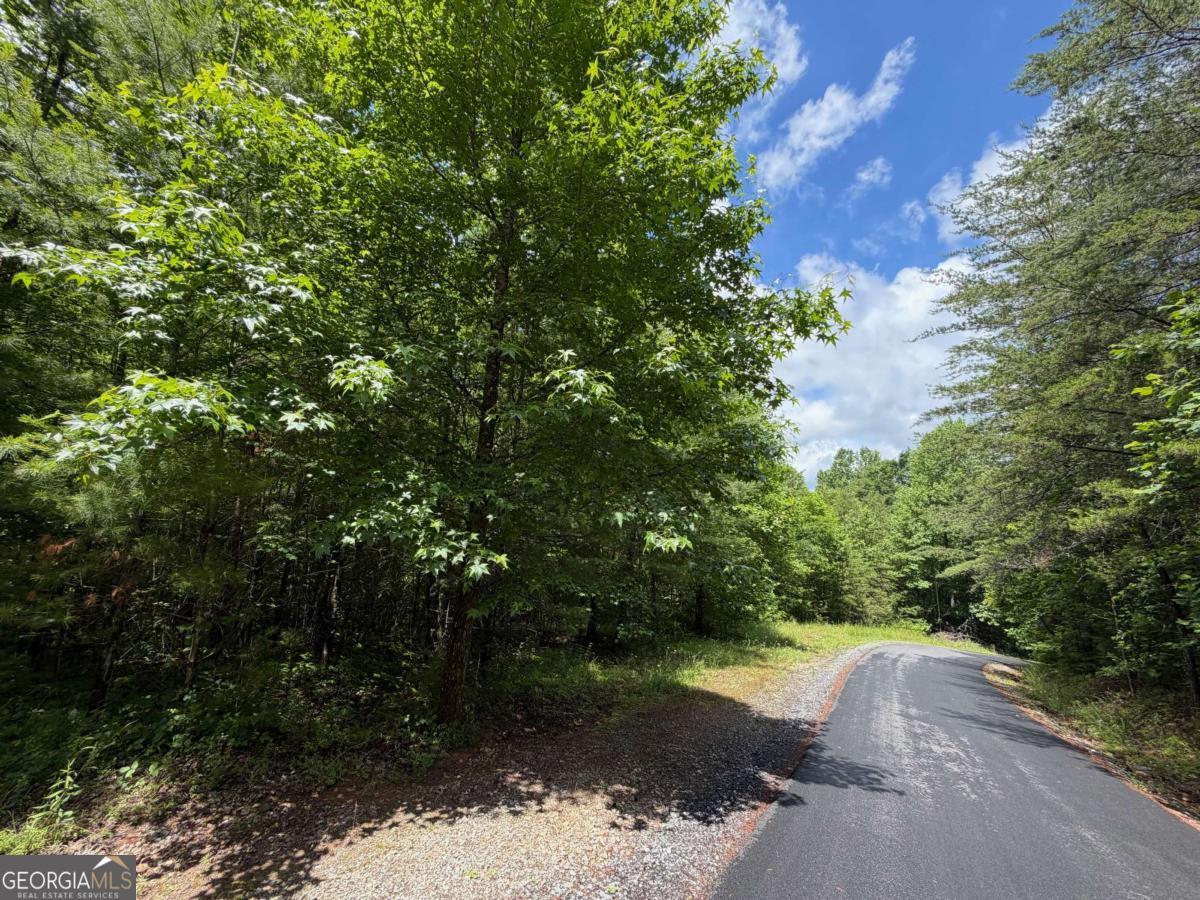 2.75-ac Quail Ridge Road Epworth, GA 30541 - Photo 12 of 12