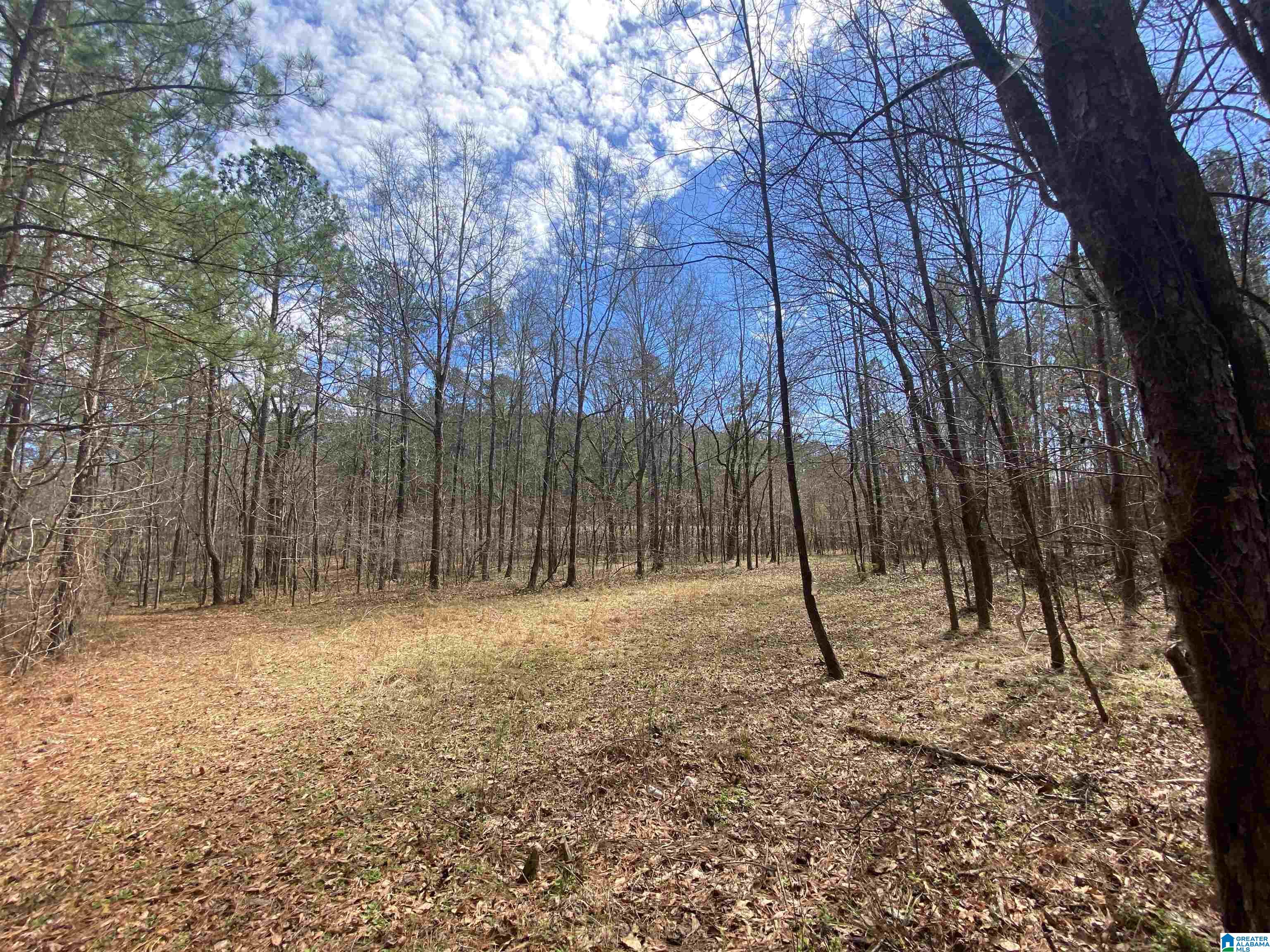 Springs Lane, Unit 12 Springville, AL 35146 - Photo 25 of 26