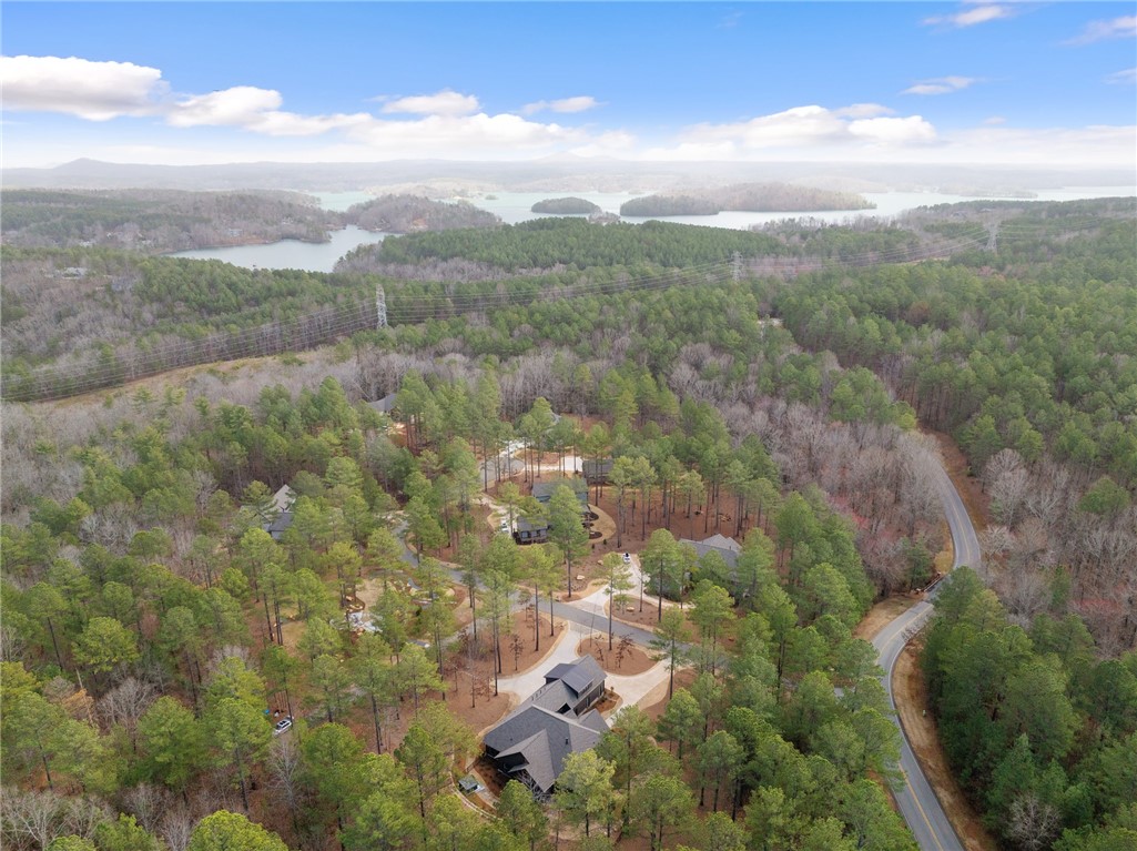 505 Bellhaven Court Salem, SC 29676 - Photo 48 of 49