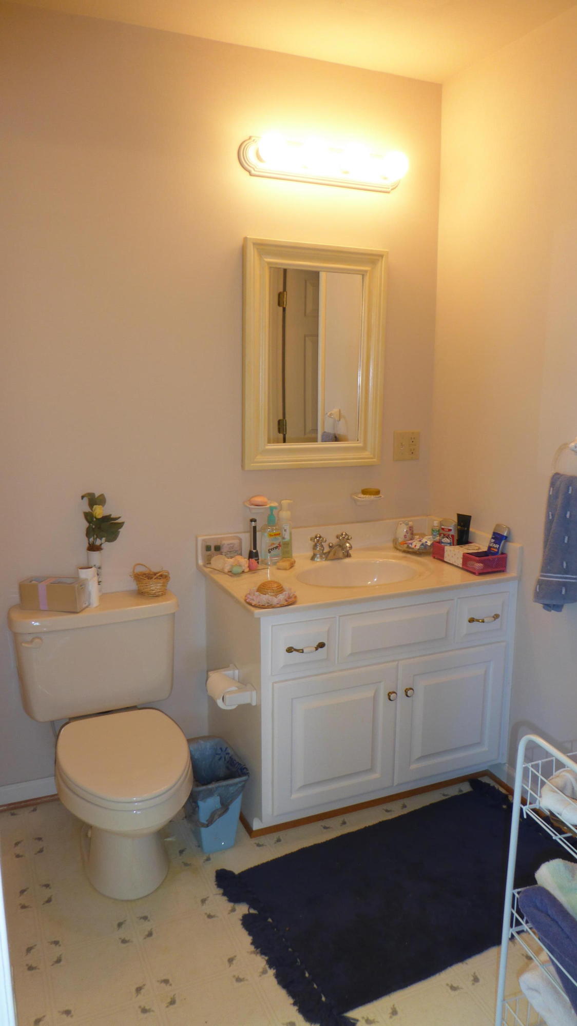 952 Rock Ridge Road Callaway, VA 24067 - Photo 11 of 46 a bathroom with a sink a toilet and mirror