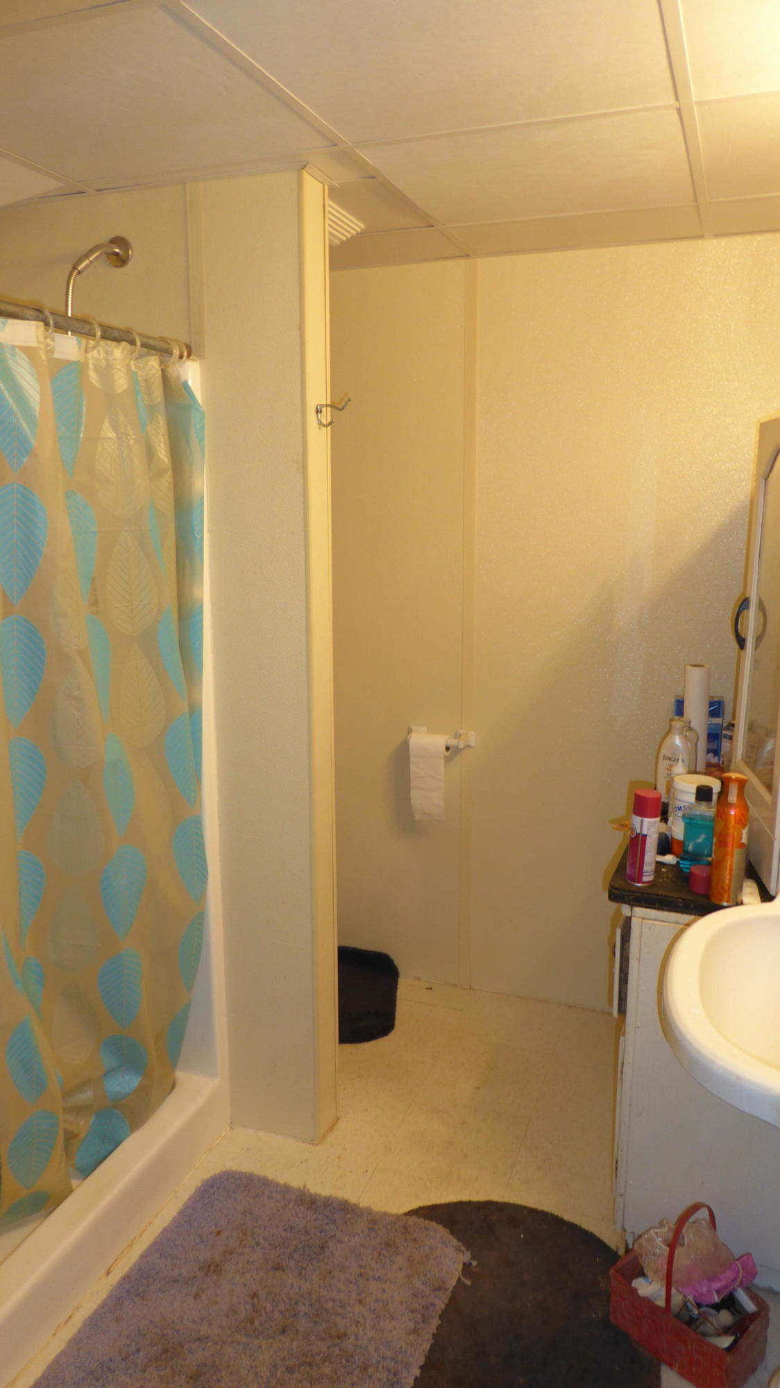 952 Rock Ridge Road Callaway, VA 24067 - Photo 18 of 46 a bathroom with a shower