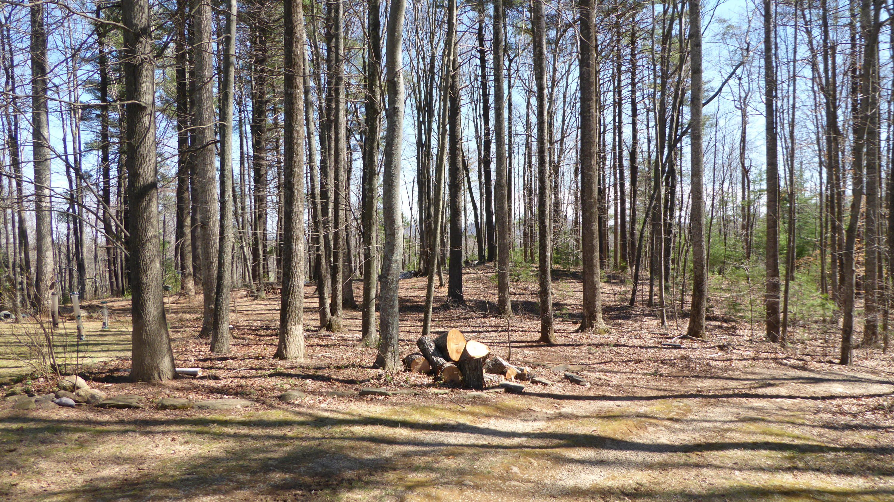 952 Rock Ridge Road Callaway, VA 24067 - Photo 21 of 46