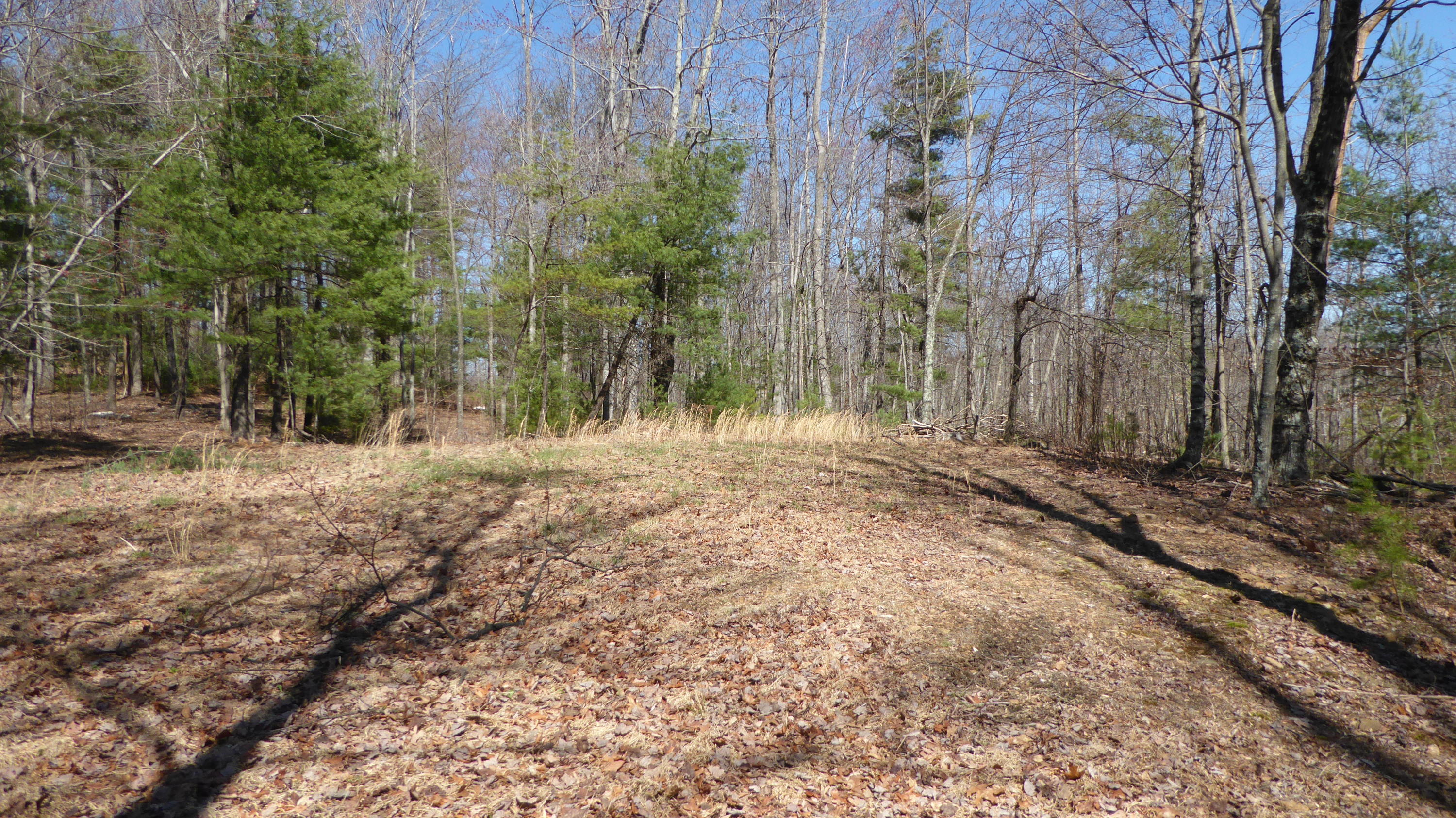 952 Rock Ridge Road Callaway, VA 24067 - Photo 23 of 46 a backyard of a house with lots of green space