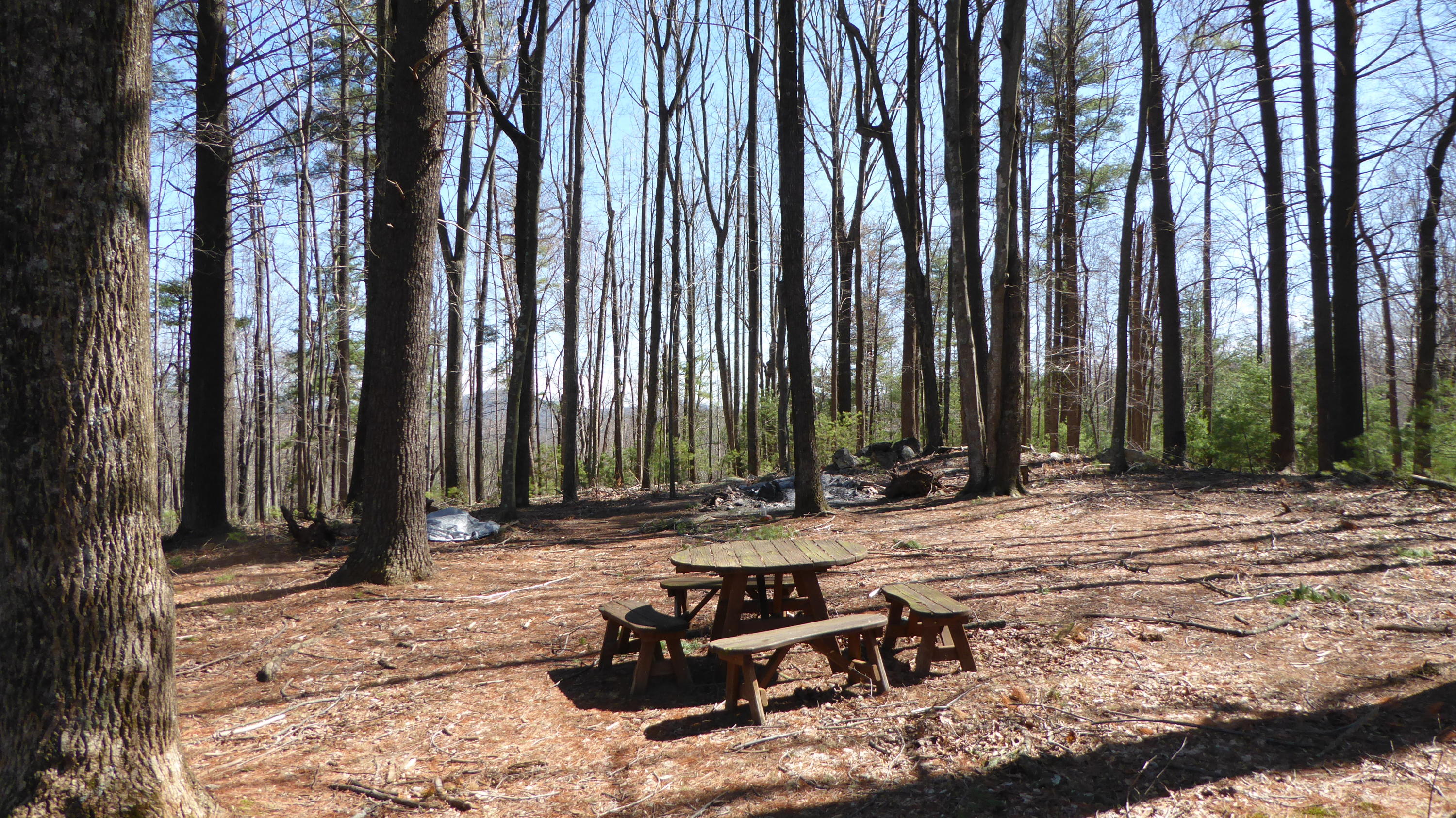 952 Rock Ridge Road Callaway, VA 24067 - Photo 24 of 46 a view of a backyard with chairs