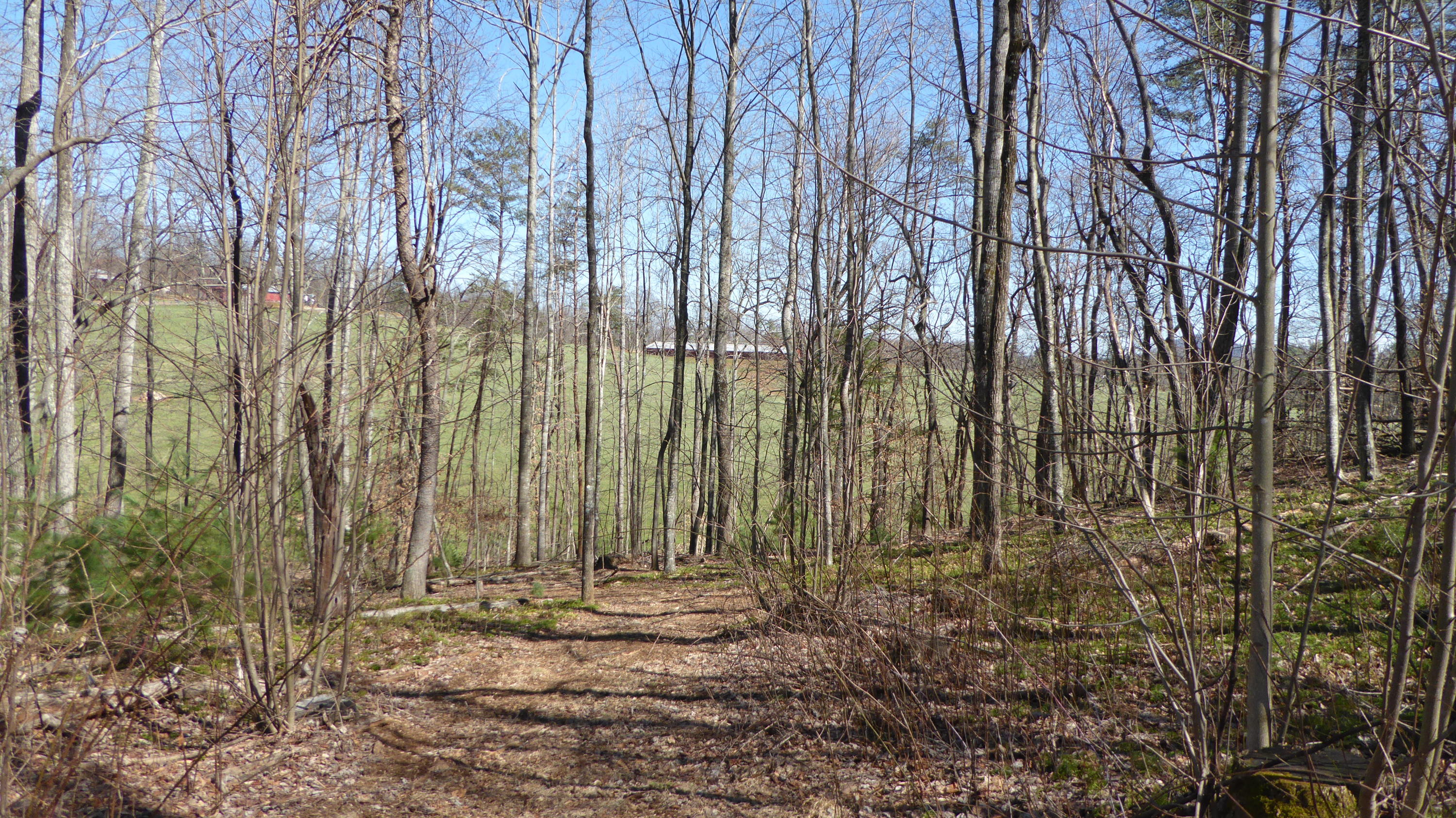 952 Rock Ridge Road Callaway, VA 24067 - Photo 25 of 46