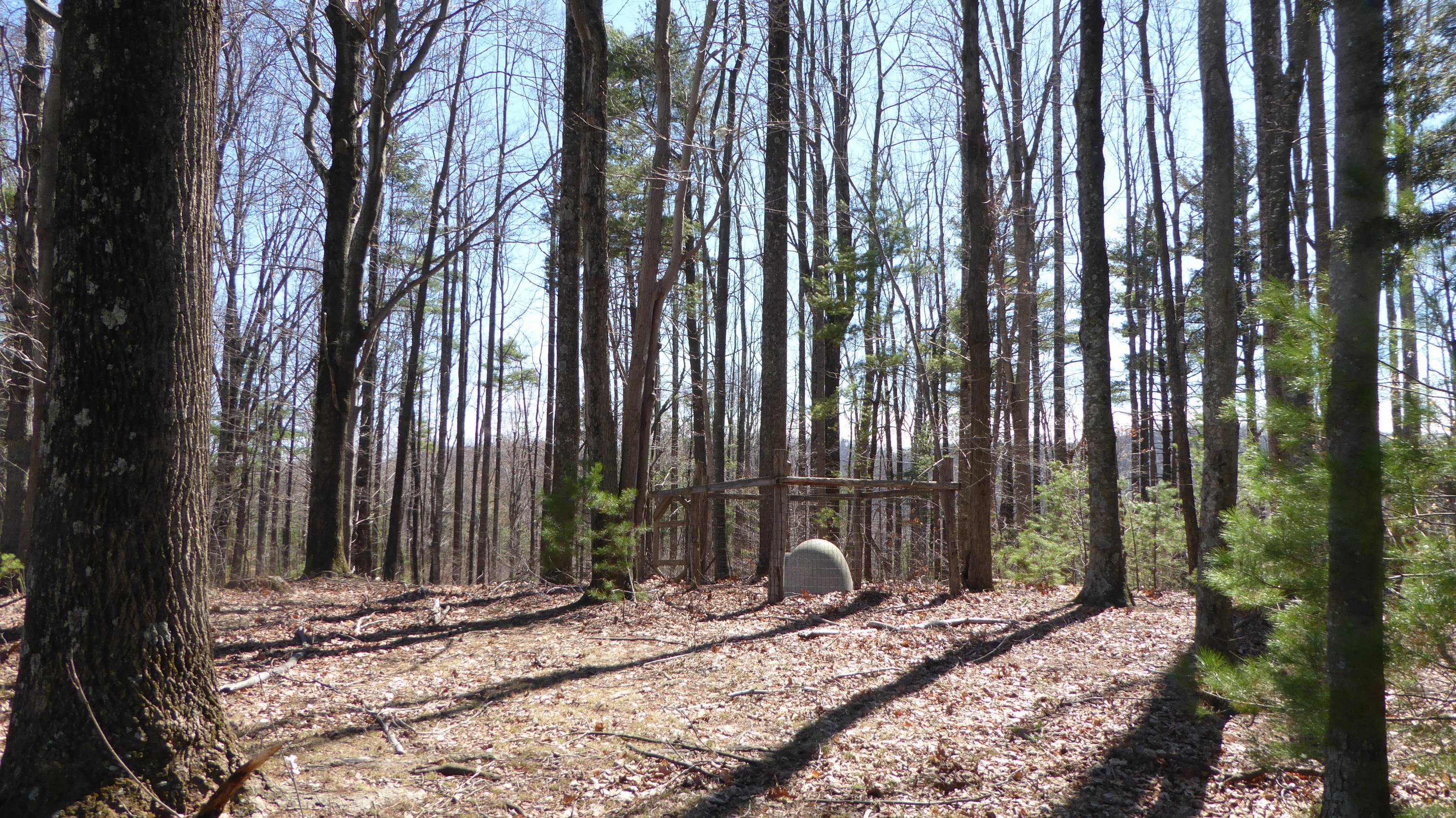 952 Rock Ridge Road Callaway, VA 24067 - Photo 43 of 46 a view of a backyard with chairs