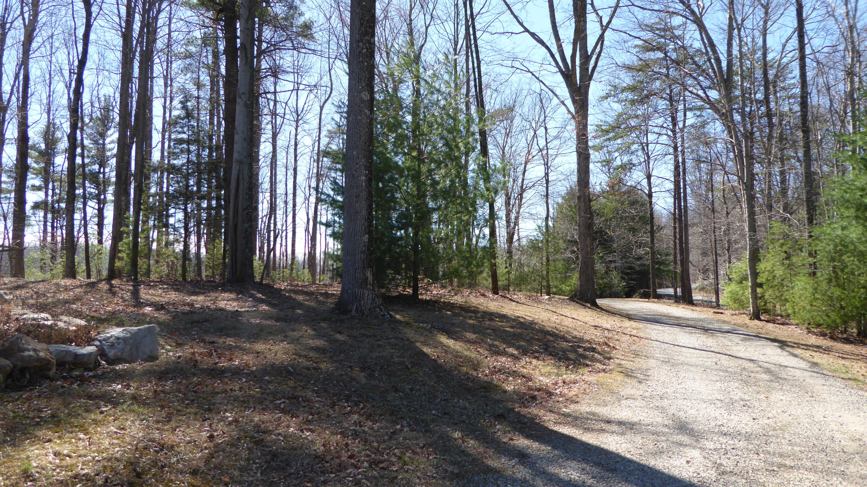 952 Rock Ridge Road Callaway, VA 24067 - Photo 44 of 46 a view of a backyard with trees