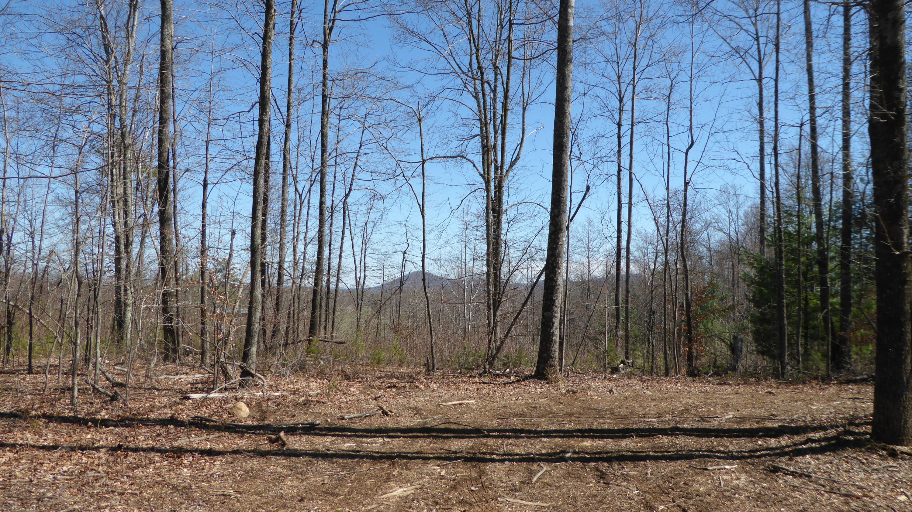 952 Rock Ridge Road Callaway, VA 24067 - Photo 45 of 46 a view of a backyard of the house