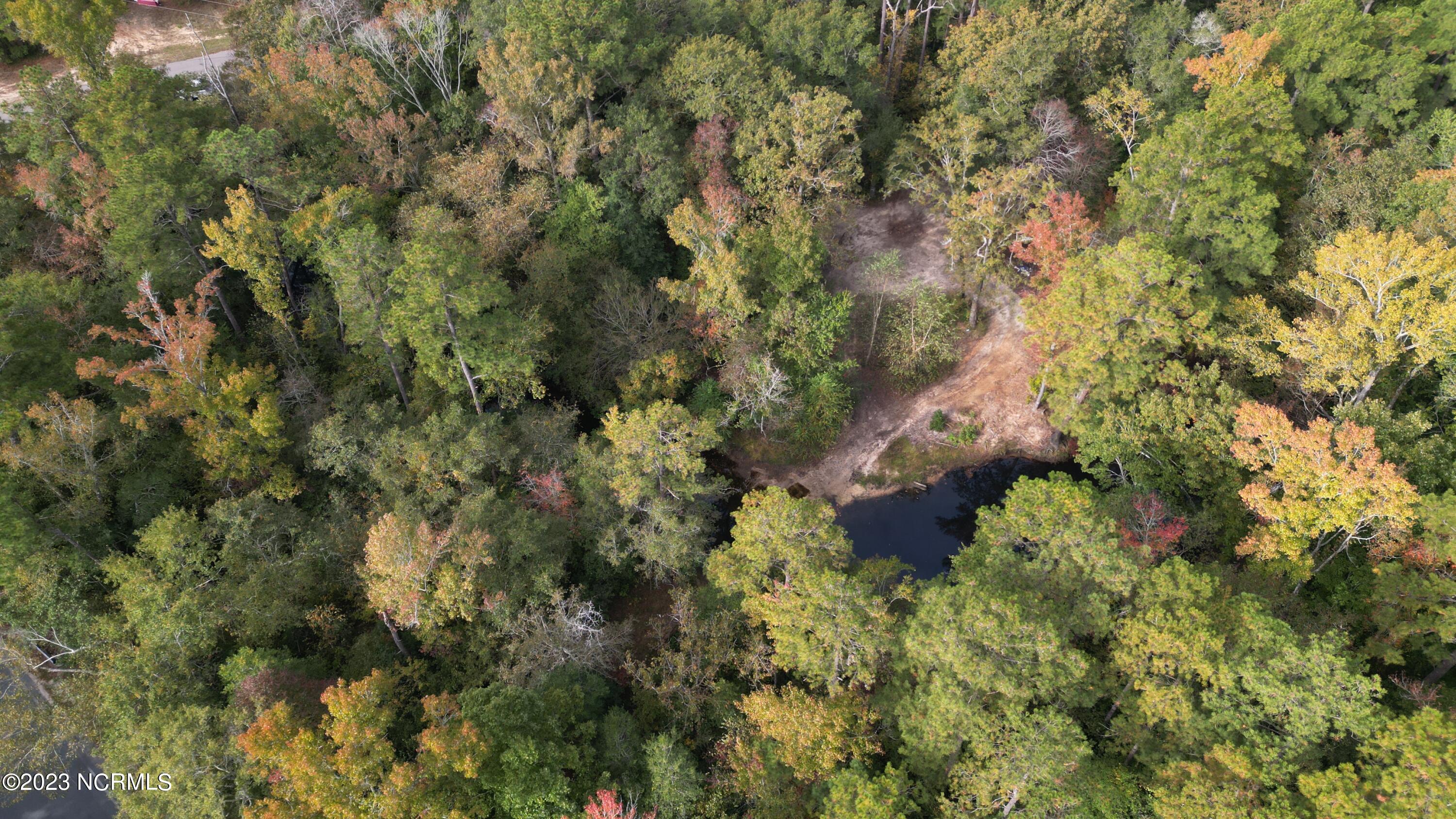 18.33-acre McPherson Road Vass, NC 28394 - Photo 8 of 39 DJI_0074