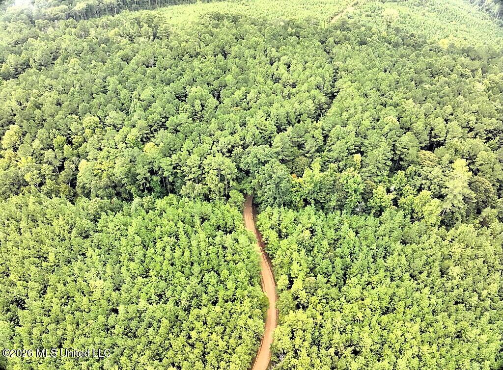 John Chambers Road Roxie, MS 39661 - Photo 6 of 14 Frnkln3000006