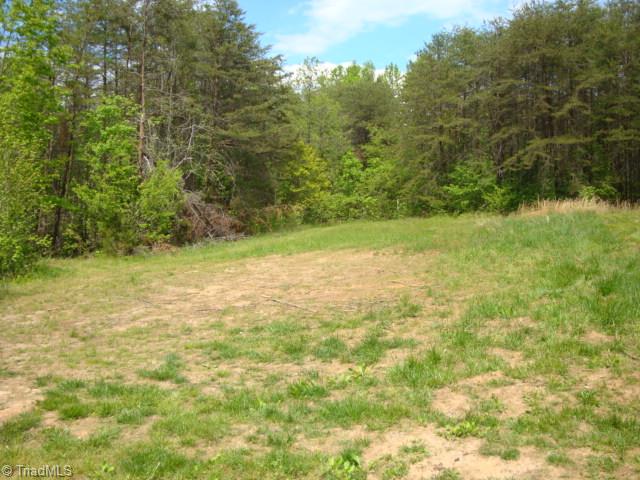 465 Stanley Road Stokesdale, NC 27357 - Photo 10 of 13 Cleared area