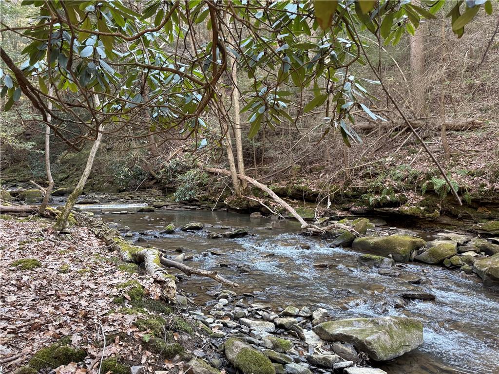 0 Boat Launch Road Dayton, PA 16222 - Photo 12 of 44 a backyard of a house with lots of green space