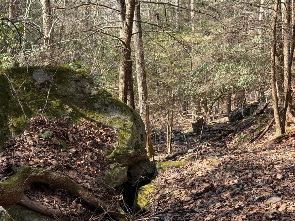 0 Boat Launch Road Dayton, PA 16222 - Photo 14 of 44 a backyard of a building